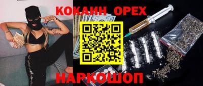 a pvp Славгород
