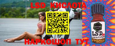 ешки Сланцы
