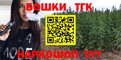 ешки Сланцы