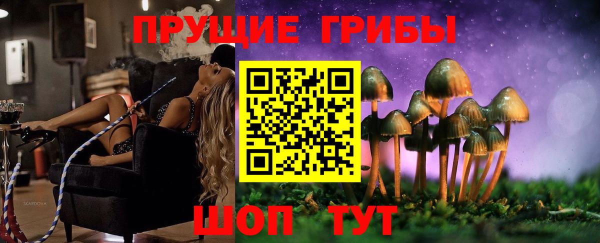 дарнет шоп  Галлюциногенные грибы Cubensis  Вход с VPN  Псилоцибиновые грибы GOLDEN TEACHER  Мурманск 