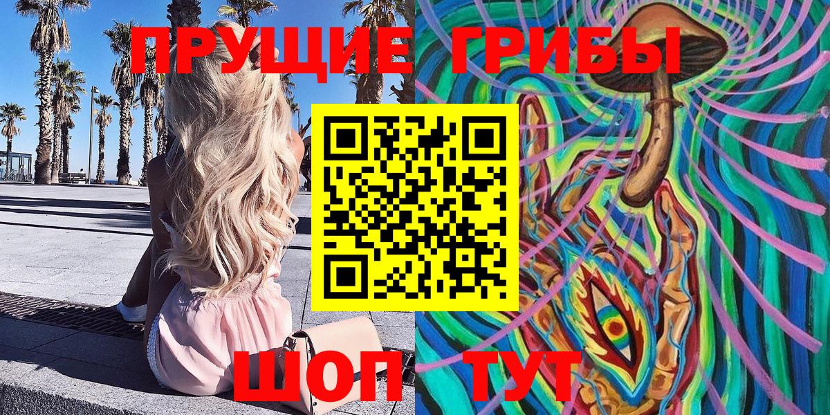 Галлюциногенные грибы Psilocybine cubensis Мурманск